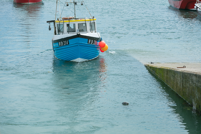 Kilmore Quay 2018 (016)